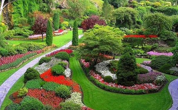 园林苗木APP开发打造园林行业生态圈