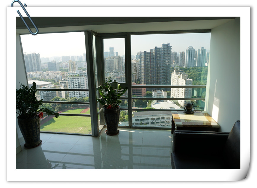 粉果科技全新升级,全面提升专业APP开发形象