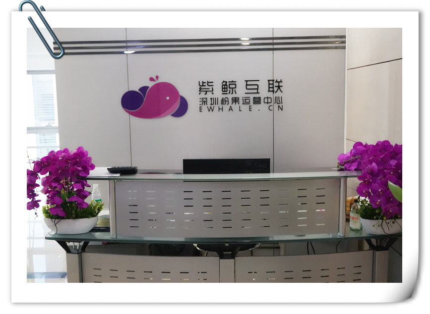 粉果科技全新升级,全面提升专业APP开发形象