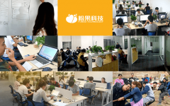 APP开发公司实力强不强，企业该怎么判断呢？