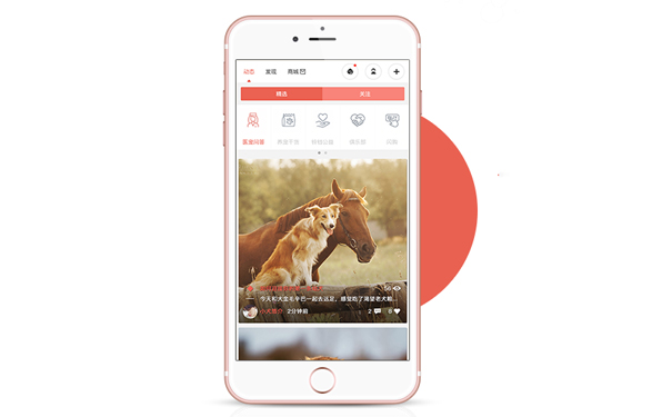 职场社交APP开发为用户创建一个和谐的职场氛围