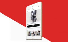 电商APP平台唯品会案例分析