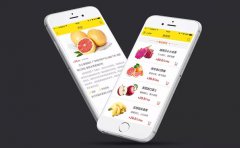 生鲜电商APP软件开发解决传统生鲜行业弊端