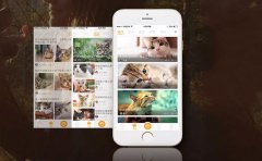 宠物APP开发能够为宠物行业带来什么？