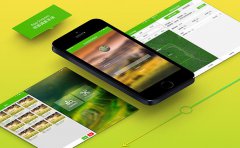 智能农业灌溉APP开发解决方案