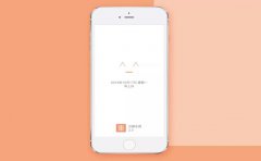 电商APP软件定制主要有哪些功能？