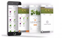 智能农业灌溉APP开发具有哪些优势？