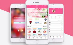 鲜花电商APP开发要多少钱？