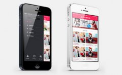 在开发一个皮具行业APP软件要多少钱？