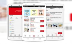 B2B电商APP开发费用大概要多少？