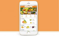 水果电商APP商城软件开发有哪些功能？