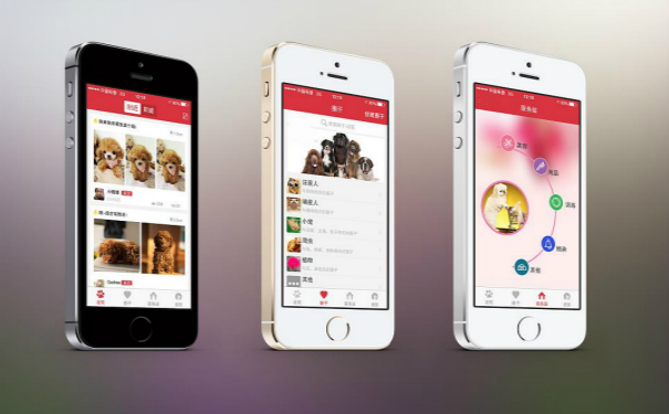 宠物店APP软件开发,深圳APP开发