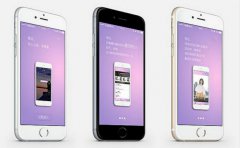 婚庆服务APP开发的功能方案浅析