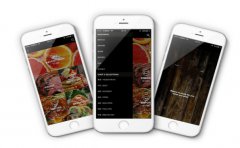 扫码点餐APP开发的成本包括哪些方面？
