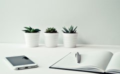 开发设计一个人事管理APP有哪些功能？