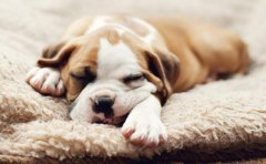 助眠类小程序开发为何受到了广大用户青睐