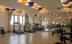 运动打卡小程序开发，方便用户了解运动情况