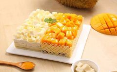 短视频APP开发如何开拓创新？