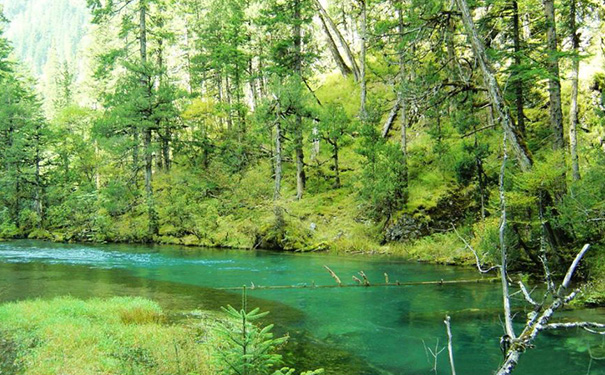 林业APP开发,林业管理系统开发