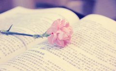 学习打卡APP开发，帮助用户养成学习意识