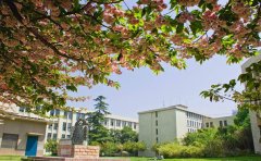 校园跑腿APP开发是否具备发展前景？