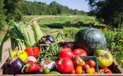 果蔬配送APP开发有哪些实用功能？