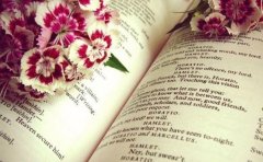 小说阅读小程序开发，方便用户在线阅读小说