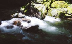 声音社交APP开发是否具备发展前景？