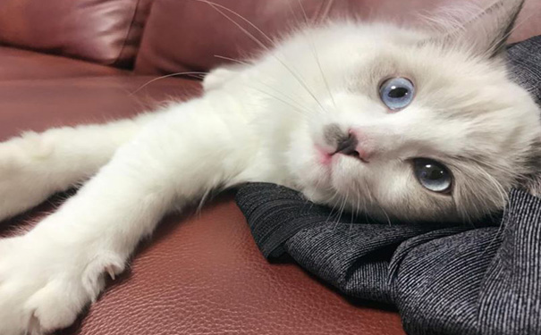 美颜拍照小程序开发,拍照修图APP软件