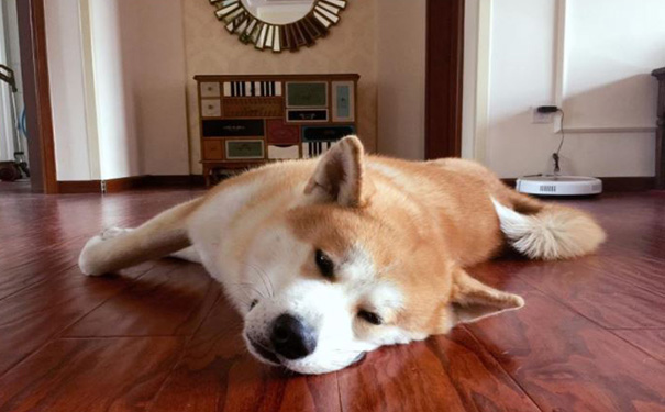 美颜拍照小程序开发