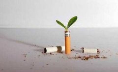 戒烟APP开发主要模式浅析