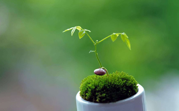 健康管理APP开发