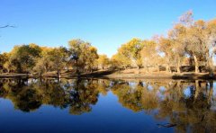 旅游直播小程序开发主要优势介绍