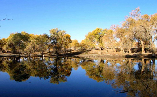 旅游直播小程序开发,旅游直播APP开发