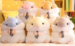 租赁类小程序开发需要注意哪些问题？