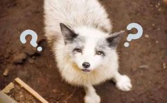 美颜修图小程序开发基础功能介绍