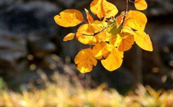 周末活动小程序开发,旅游APP定制