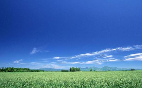 空气质量检测APP开发,旅行类app