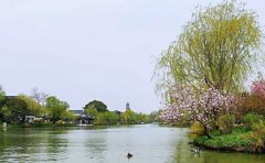 开发旅游酒店APP应注意哪些问题？