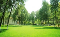 智慧校园APP开发可以解决哪些问题？