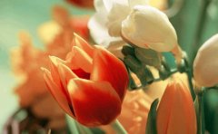 同城跑腿APP开发可解决什么问题？