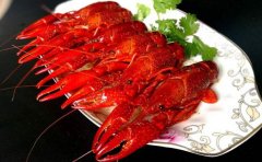 校园订餐APP开发为何受到学生青睐？