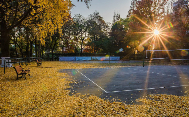 校园跑腿小程序开发,同城配送APP