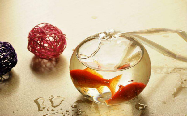 智能鱼缸APP开发,智能电视APP