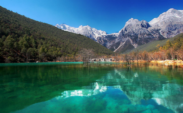 景点小程序开发,景区APP软件