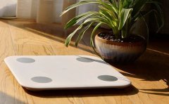 体脂称APP开发主要作用介绍