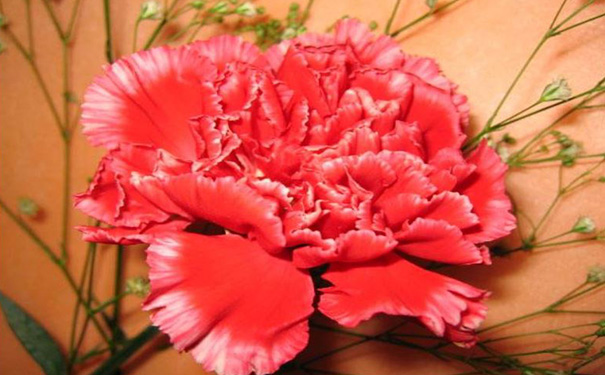 花店小程序开发