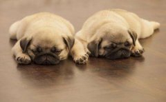 影响睡眠监测APP开发报价因素有哪些？