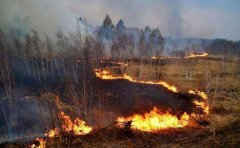 消防APP开发具备哪些价值？