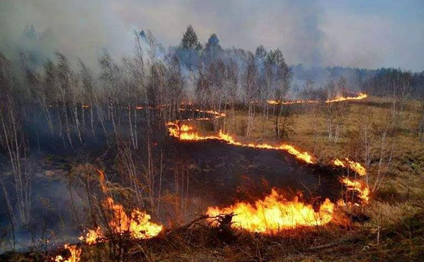 消防APP开发,消防APP软件